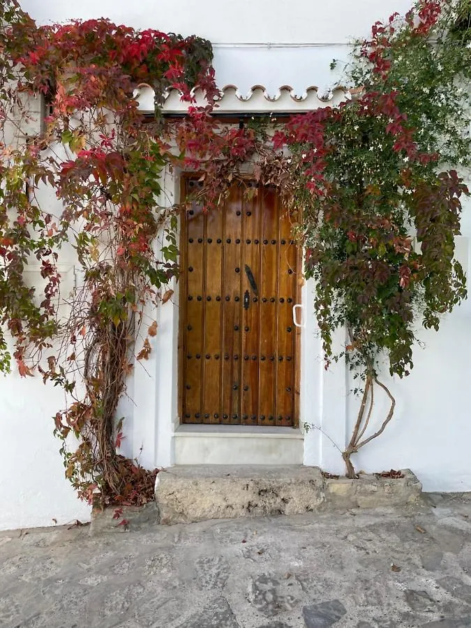 Apartamento Cuevas Del Penon - Loft Torreon Grazalema España